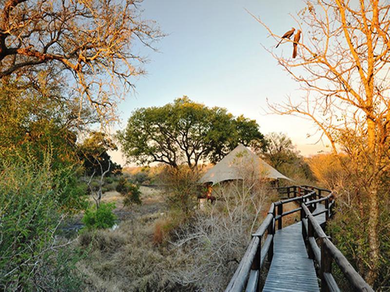 Hamiltons Tented Camp Mluwati Concession Eksteriør bilde