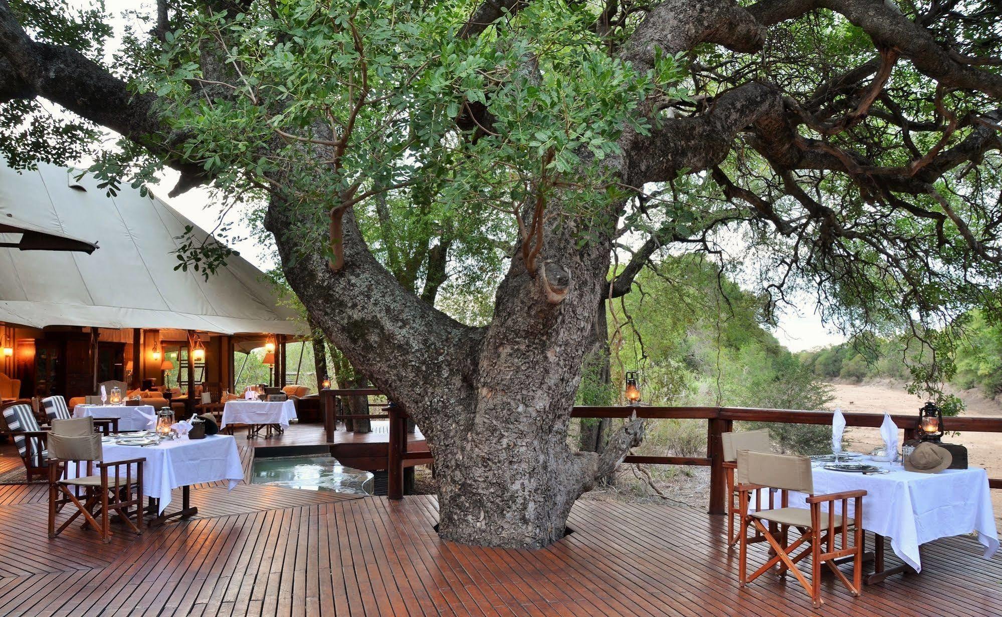 Hamiltons Tented Camp Mluwati Concession Eksteriør bilde