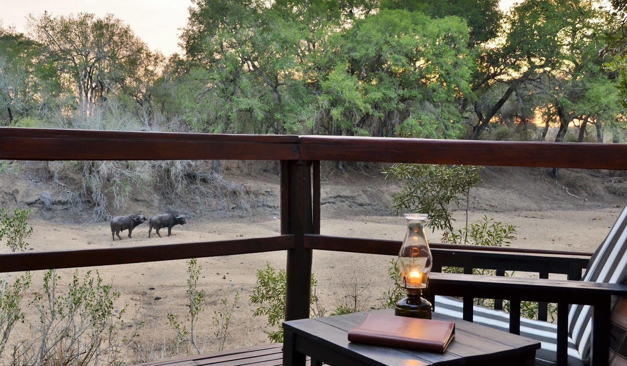 Hamiltons Tented Camp Mluwati Concession Eksteriør bilde